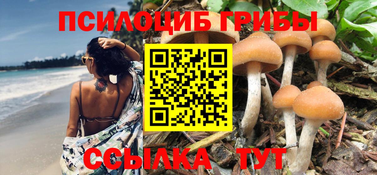 Галлюциногенные грибы Psilocybine cubensis  Псилоцибиновые грибы мицелий  Ангарск  Вход с VPN 